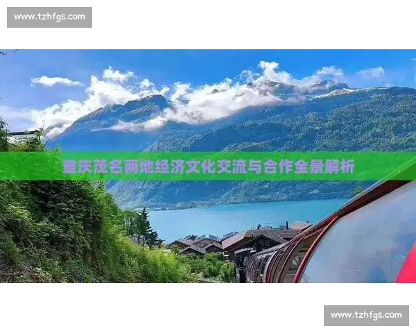 回望2002韩日世界杯巴西对土耳其的巅峰对决与战术博弈全景解析